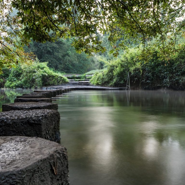 Stepping Stones across a calm river surrounded by lush green vegetation and overhanging branches.
